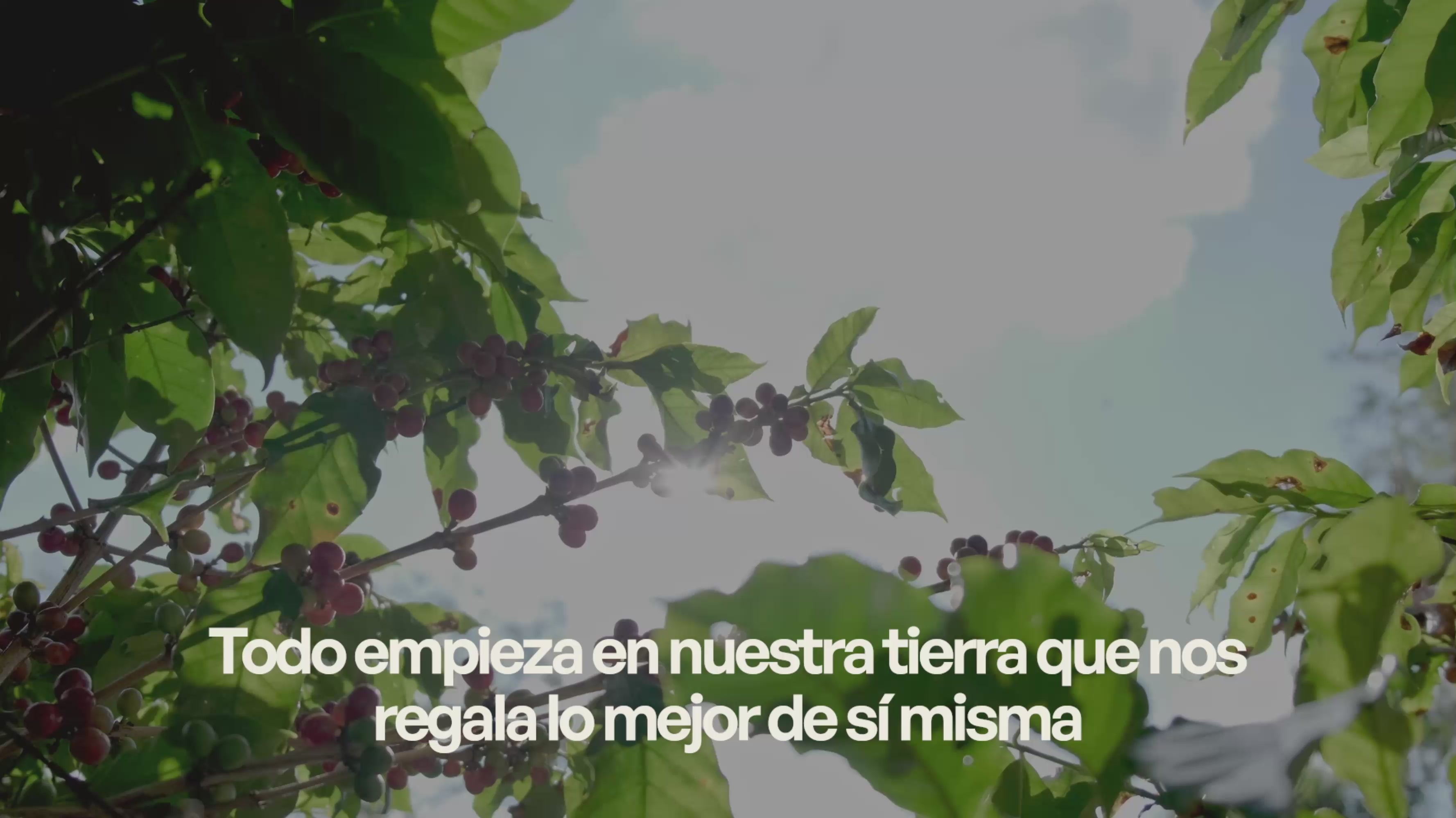 Cargar video: t